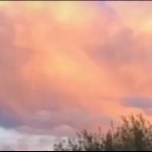 Meet your Posher, Ameera